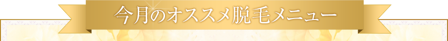 今月のオススメメニュー