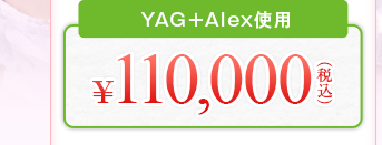YAG＋Alex使用　￥100,000