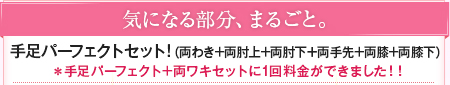 気になる部分、まるごと。手足パーフェクトセット！（両脇+両肘上+両肘下＋両手先+両膝+両膝下）
